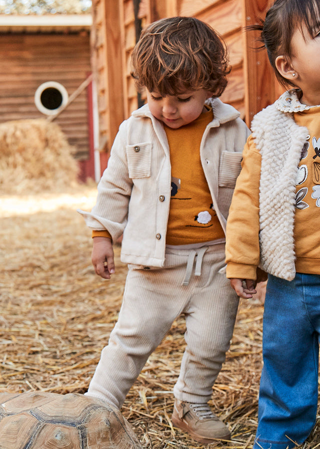 Pantalón Pana Dogs And Cars