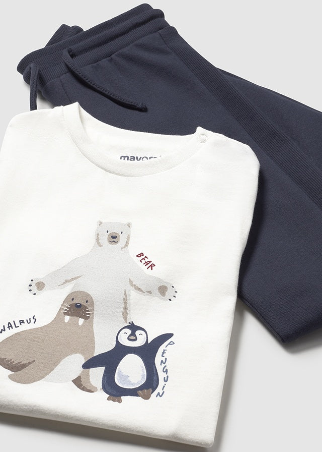 Conjunto Combinado Artic Family