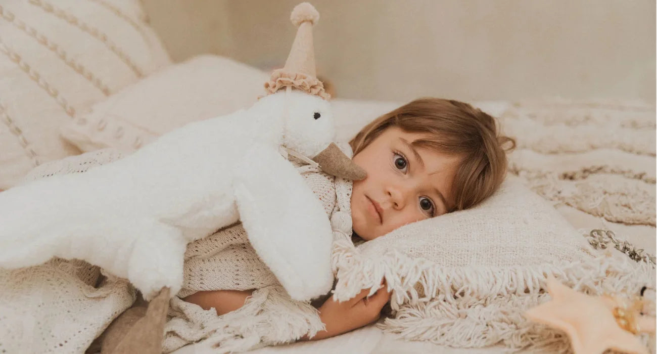 Fun gift colección Minibhú