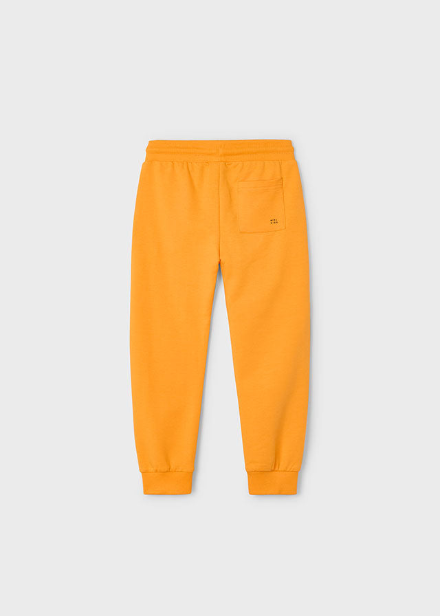 Pantalón Felpa Básico Skate Bear