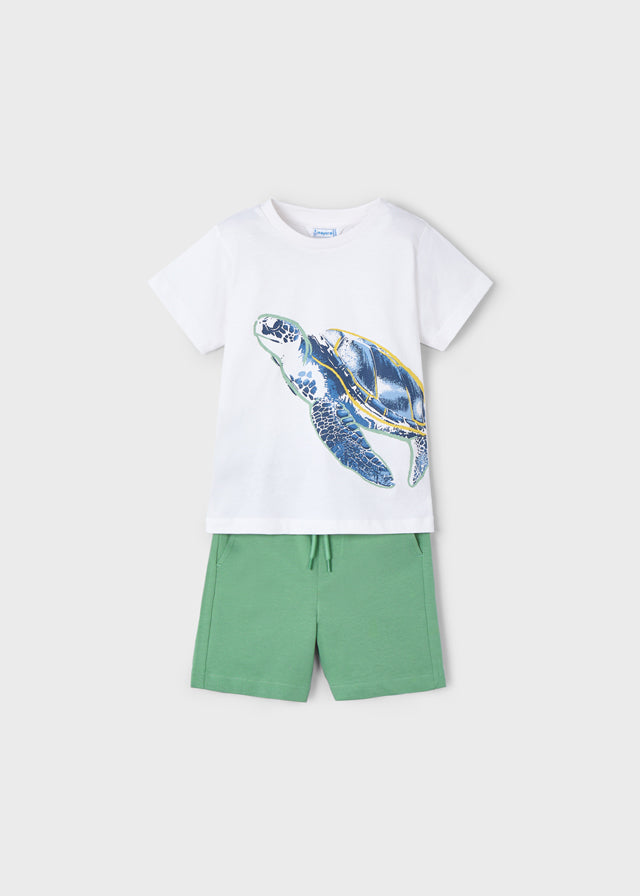 Conjunto Punto Tortuga Amazonia - Minibhu