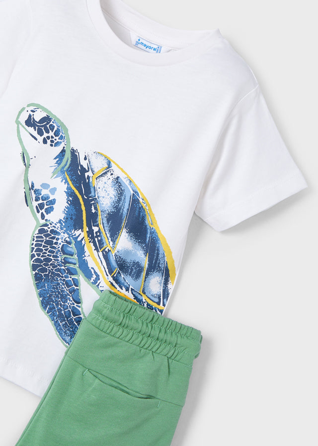 Conjunto Punto Tortuga Amazonia - Minibhu