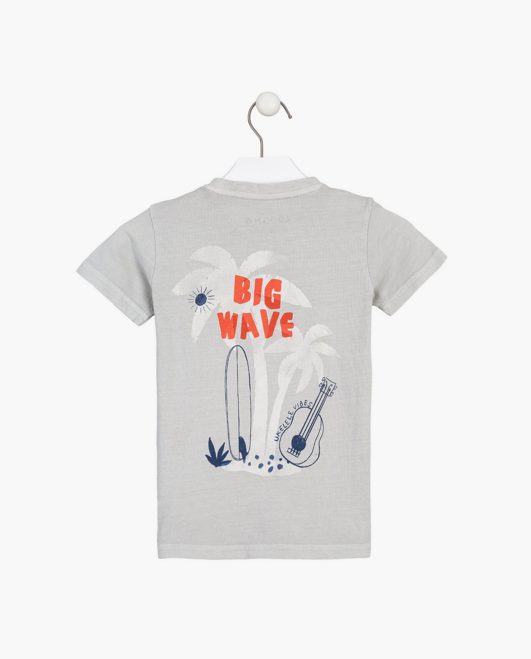 Camiseta Big Wave Estampada Palms