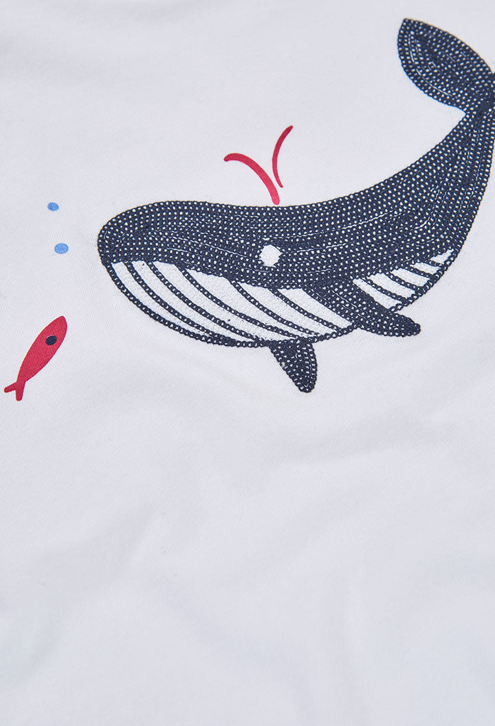 Camisa Punto Sharkie
