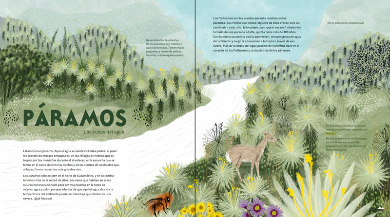 Libro: Colombia De Arriba A Abajo