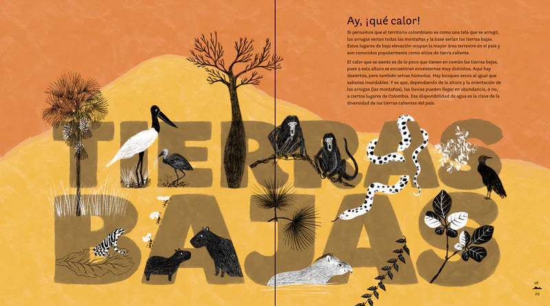 Libro: Colombia De Arriba A Abajo