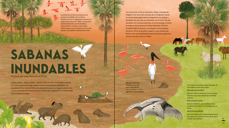 Libro: Colombia De Arriba A Abajo