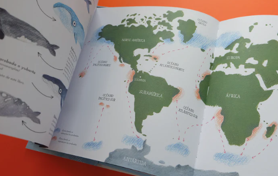 Libro: El Vuelo De Las Jorobadas