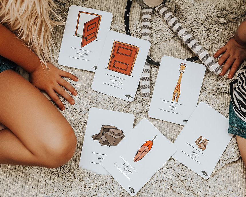 Flash Cards Opuestos