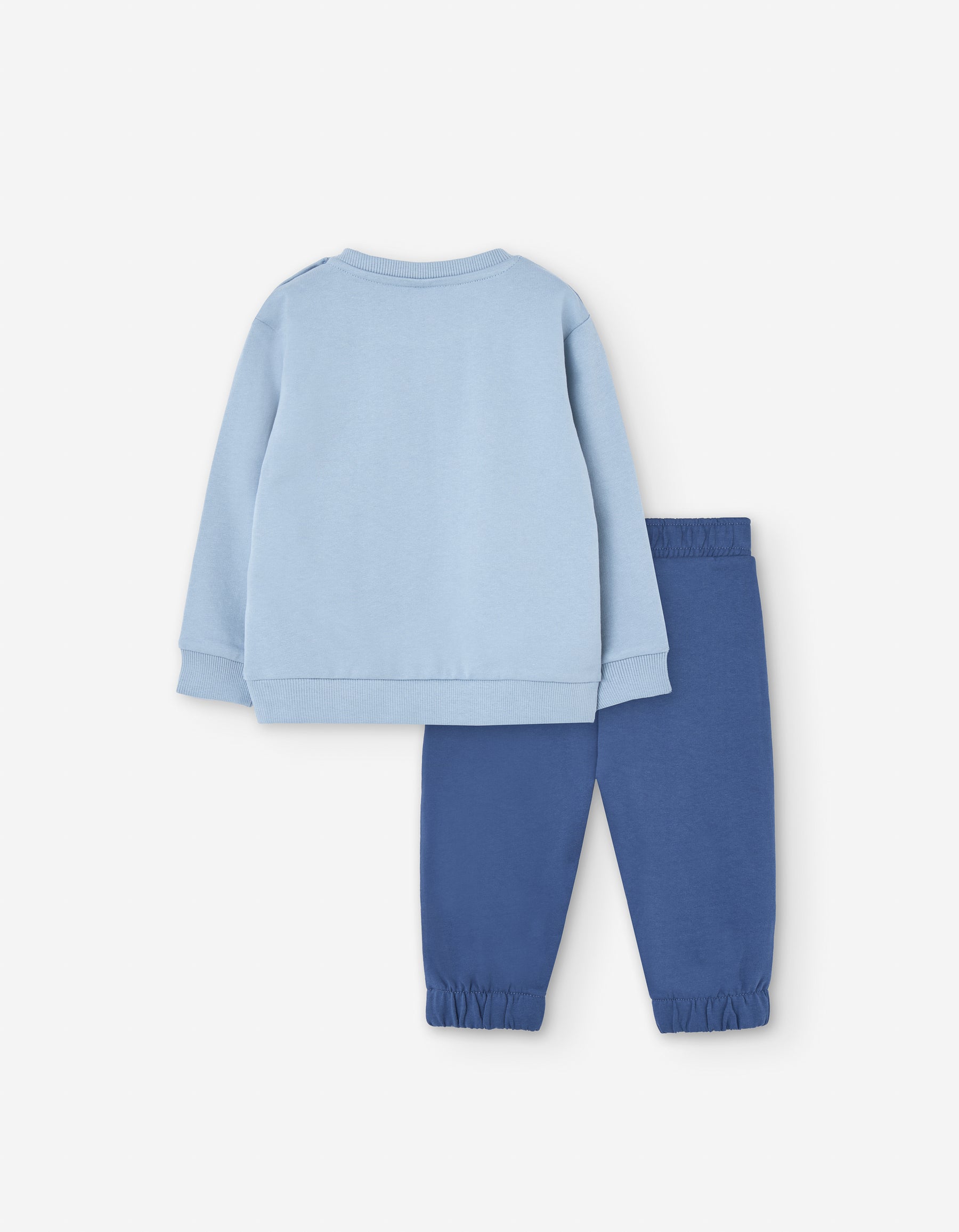 Set Jogging Polar Sharkie