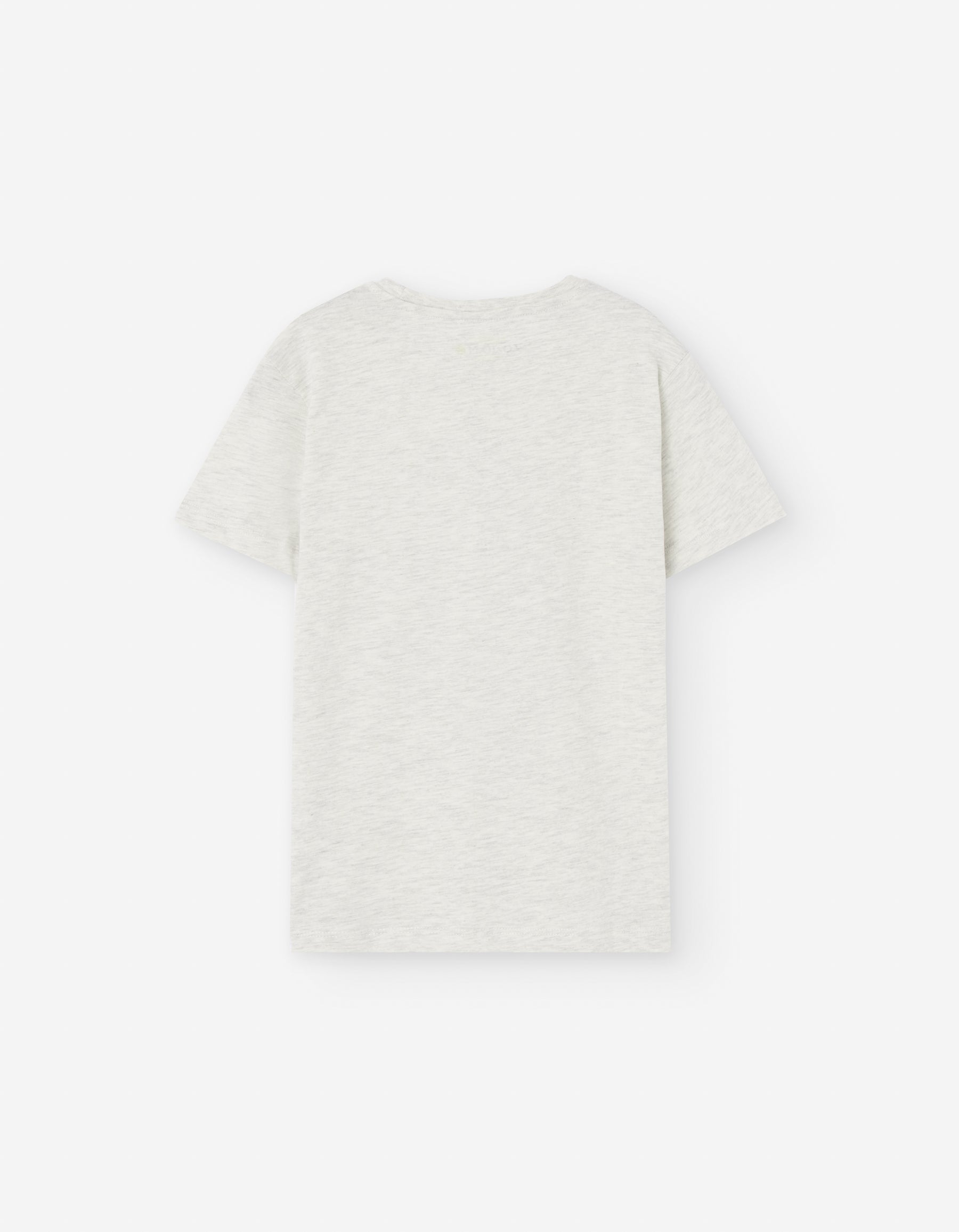 Camiseta Saurus