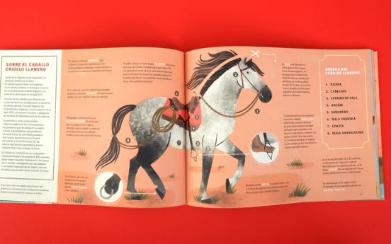Libro: Llano