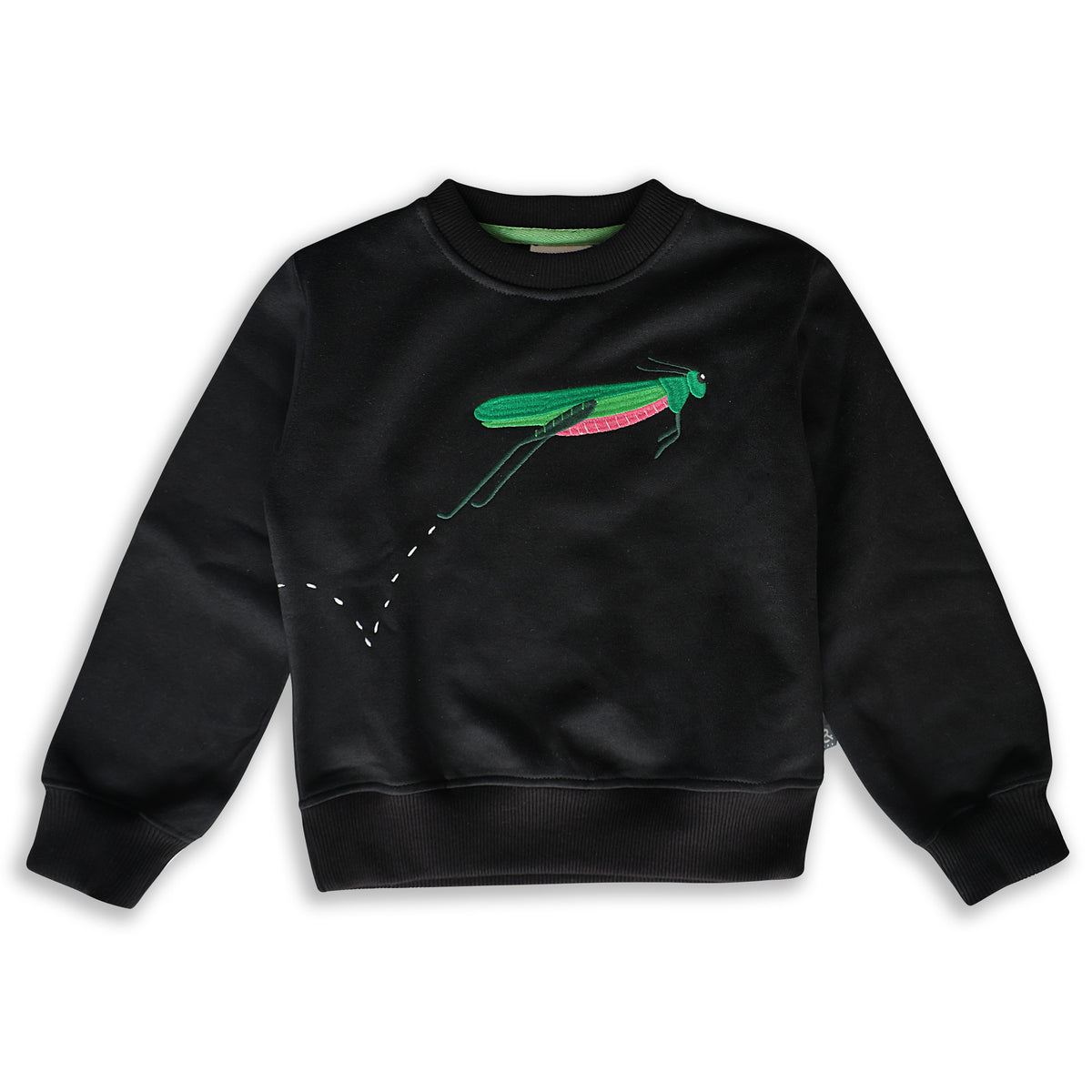 Saco Montes - Minibhu