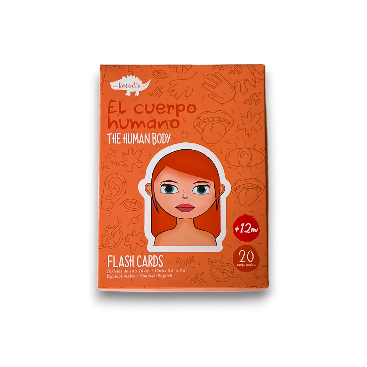 Flash Cards Cuerpo Humano +12m Kocodio