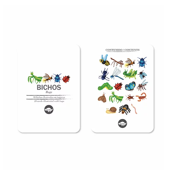 Flash Cards Bichos +2 Kocodio