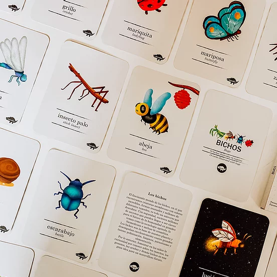 Flash Cards Bichos +2 Kocodio