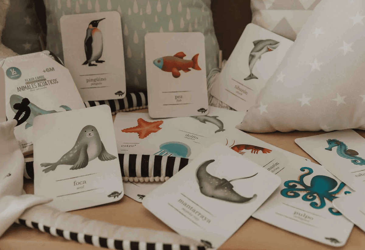 Flash Cards Animales Acuáticos +12m Kocodio