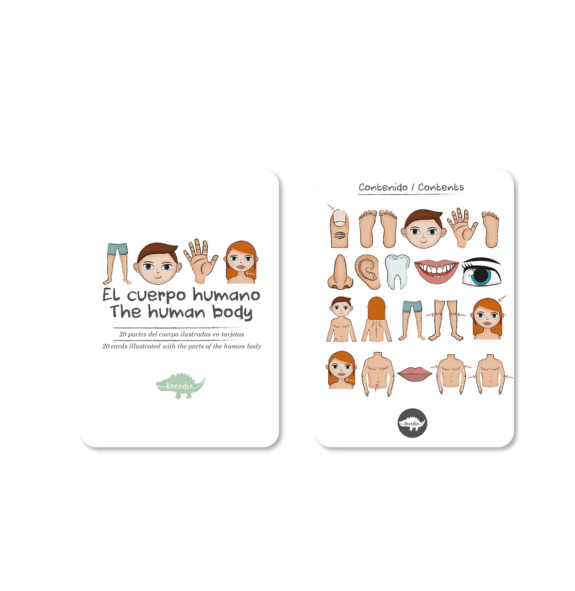 Flash Cards Cuerpo Humano +12m Kocodio