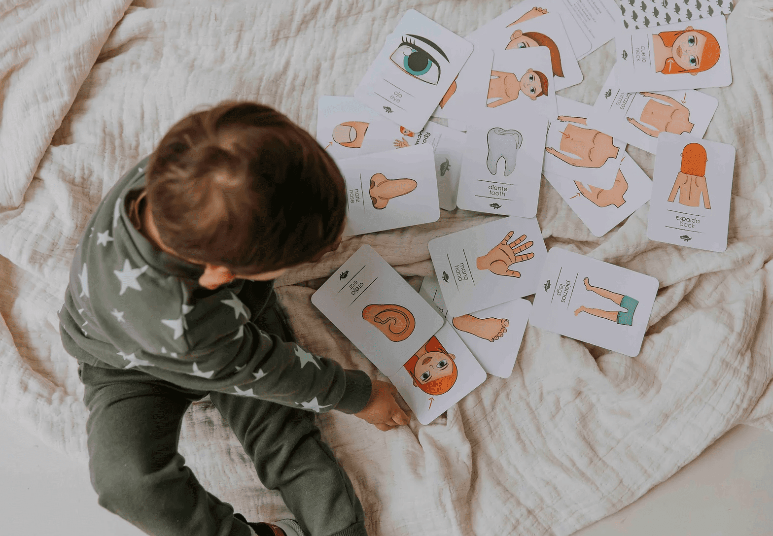 Flash Cards Cuerpo Humano +12m Kocodio