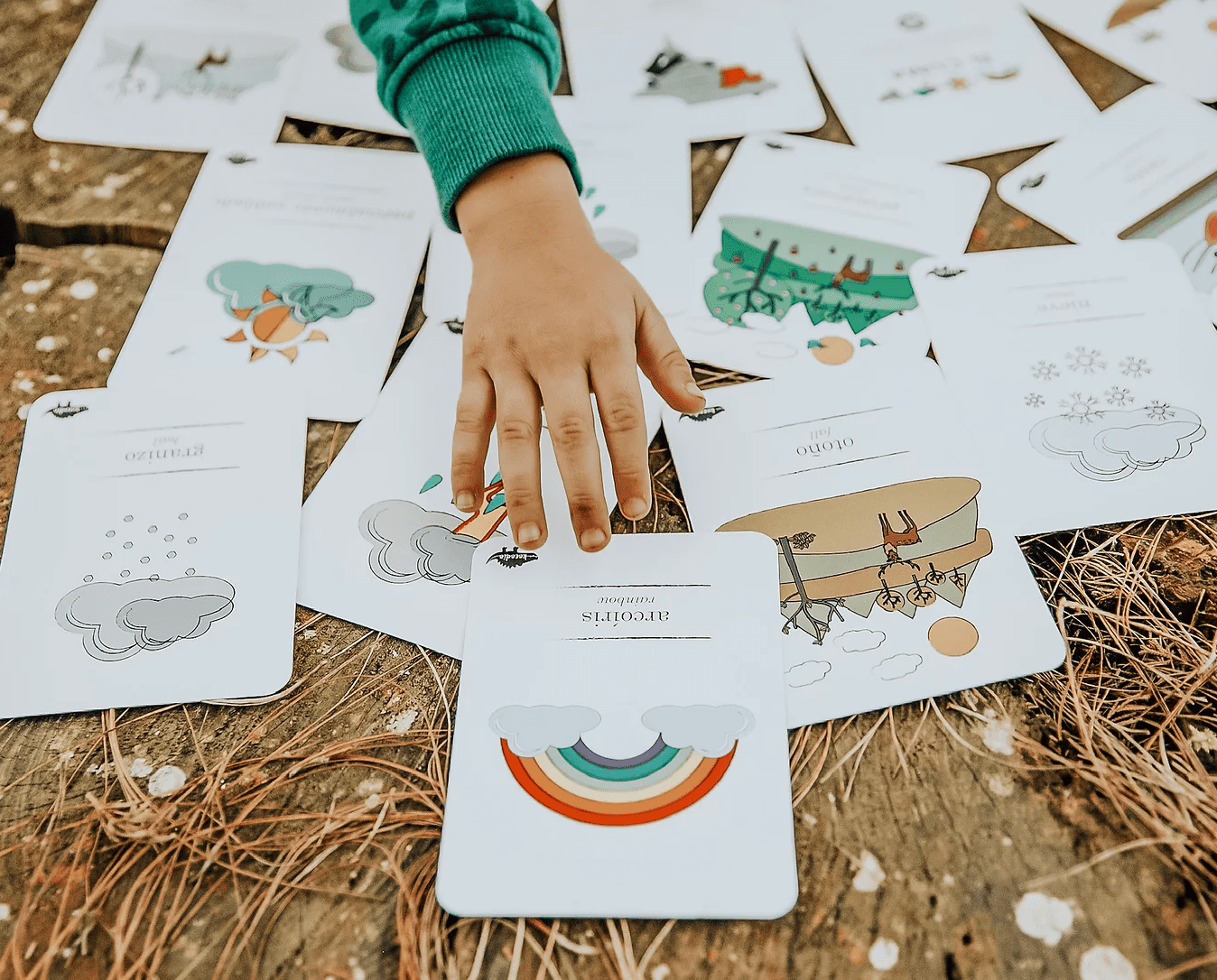 Flash Cards El Clima +4A Kocodio