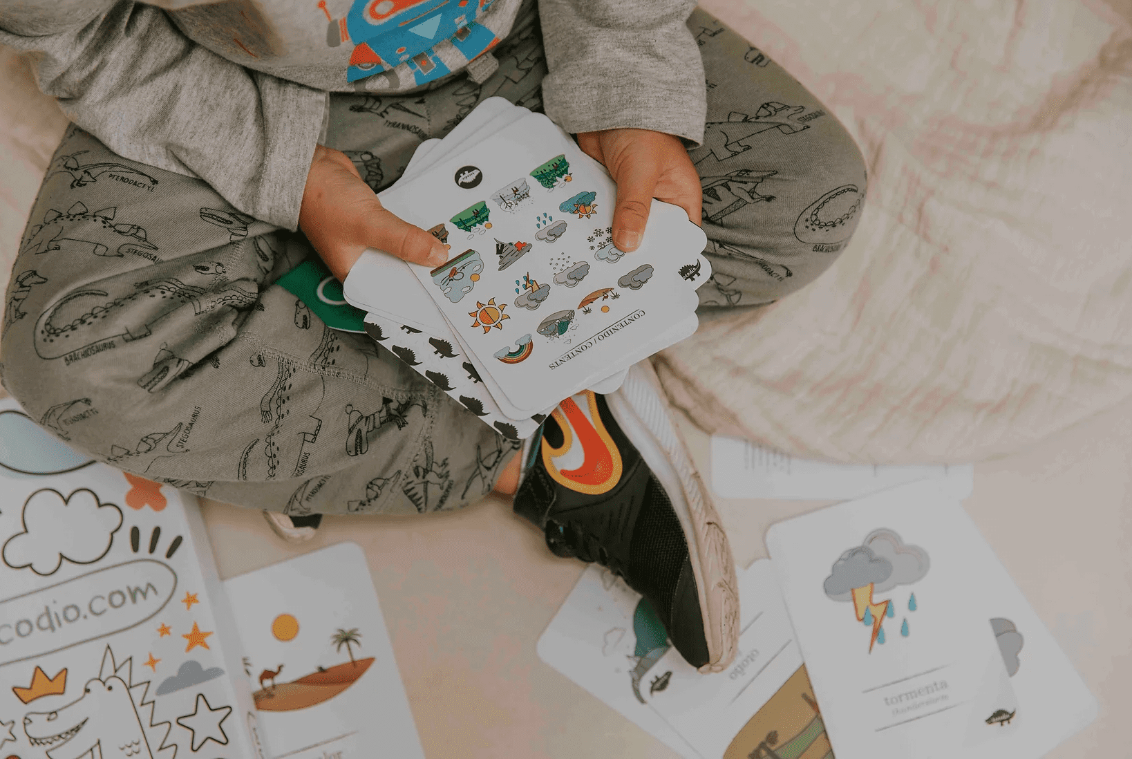 Flash Cards El Clima +4A Kocodio