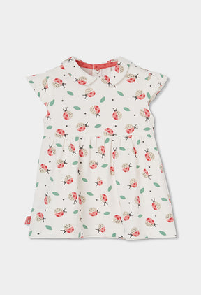 Vestido Estampado Ladybugs