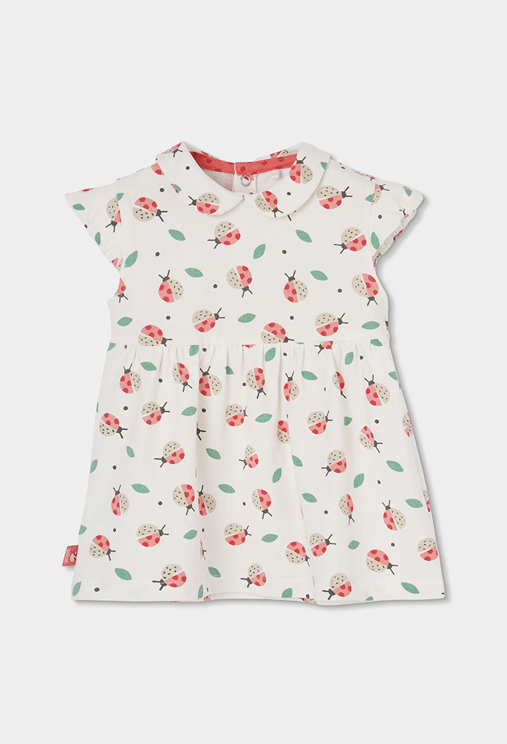 Vestido Estampado Ladybugs