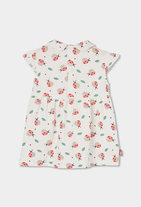 Vestido Estampado Ladybugs