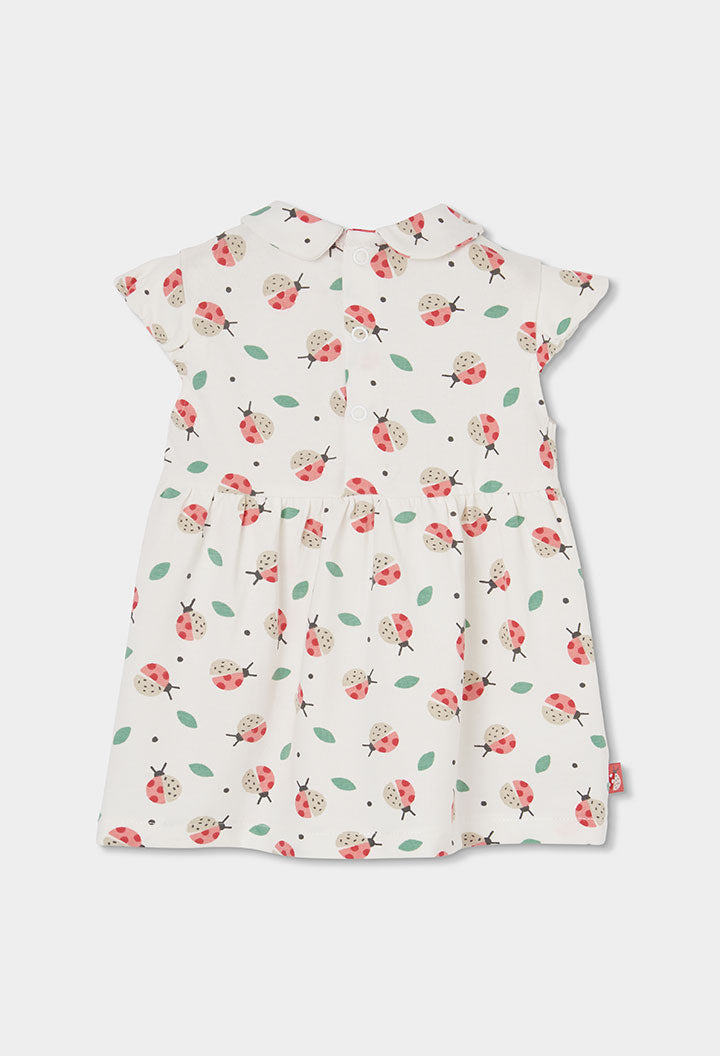 Vestido Estampado Ladybugs