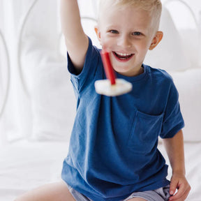 Rompecabezas Magnético Insectos - Minibhu