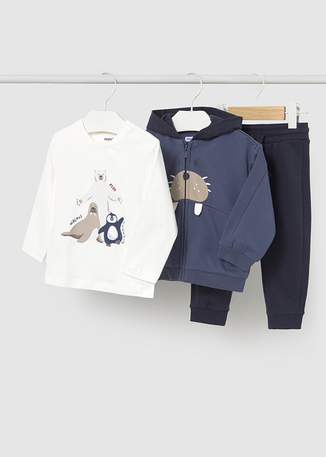 Conjunto Combinado Artic Family