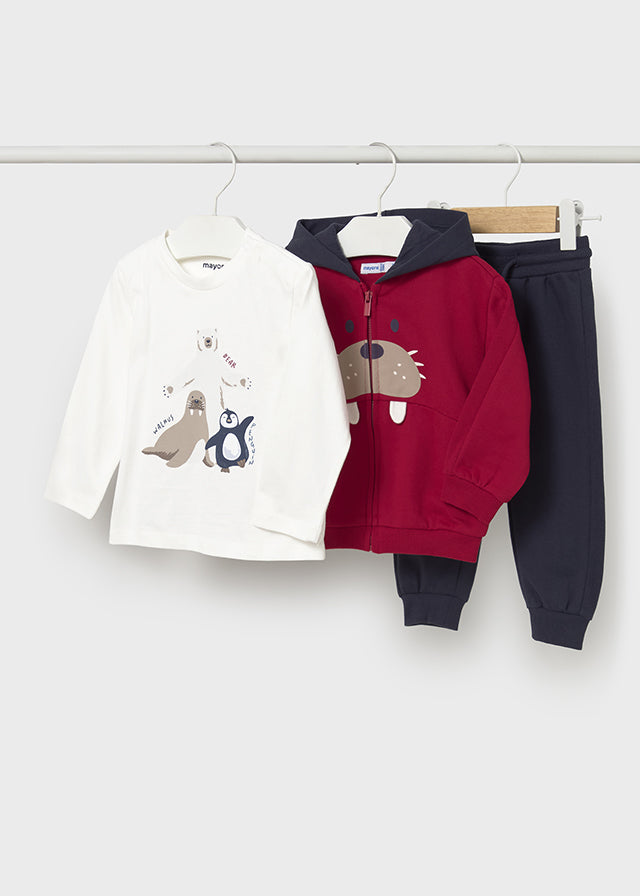 Conjunto Chandal Combinado Artic Family