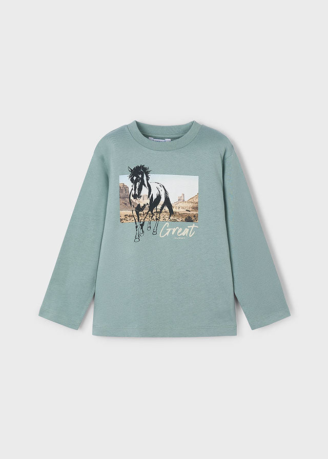 Camiseta Caballo Yellowstone