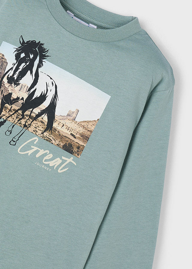 Camiseta Caballo Yellowstone