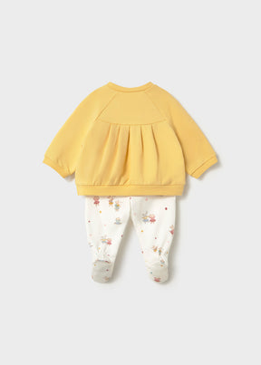 Conjunto Polainas Honey Song