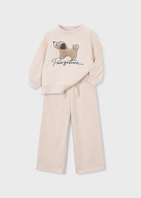 Conjunto Aplique Dog Doodle