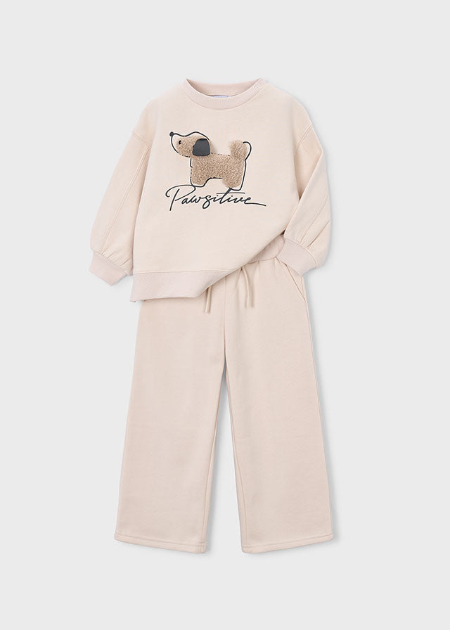 Conjunto Aplique Dog Doodle