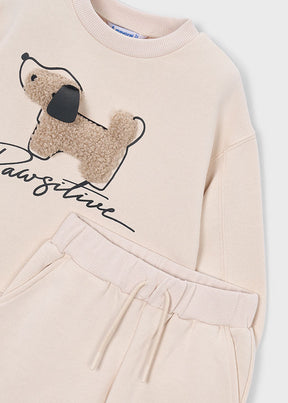 Conjunto Aplique Dog Doodle