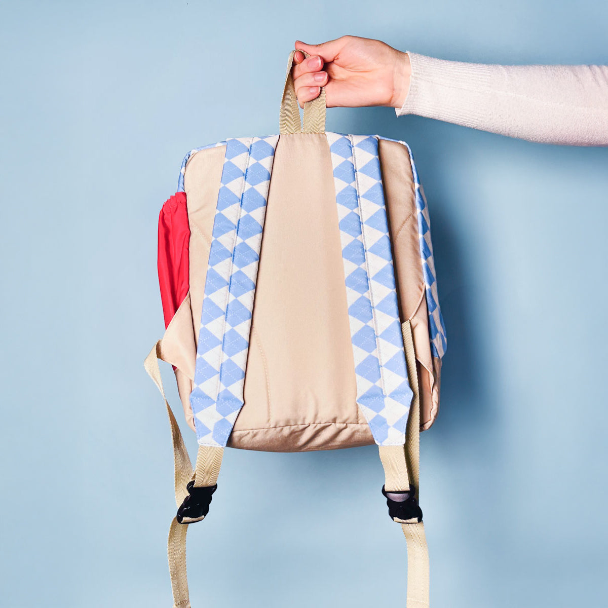 Morral Snoopy