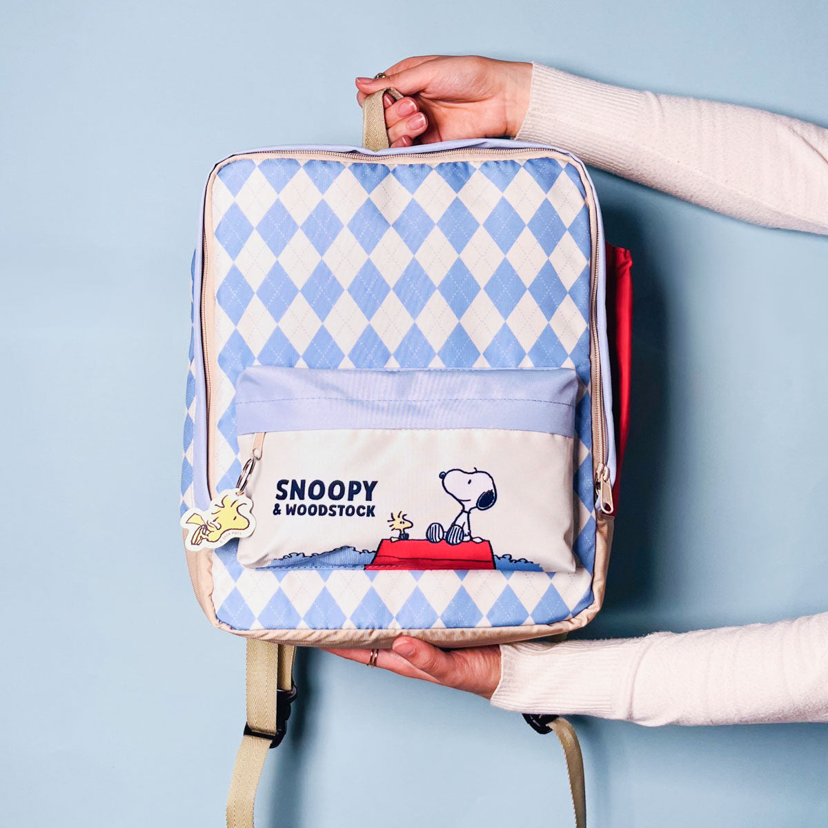 Morral Snoopy