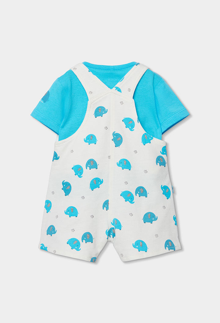Conjunto Punto Elephant - Minibhu