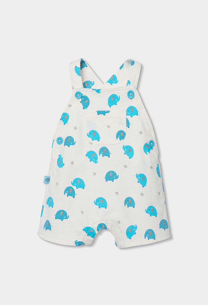 Conjunto Punto Elephant - Minibhu