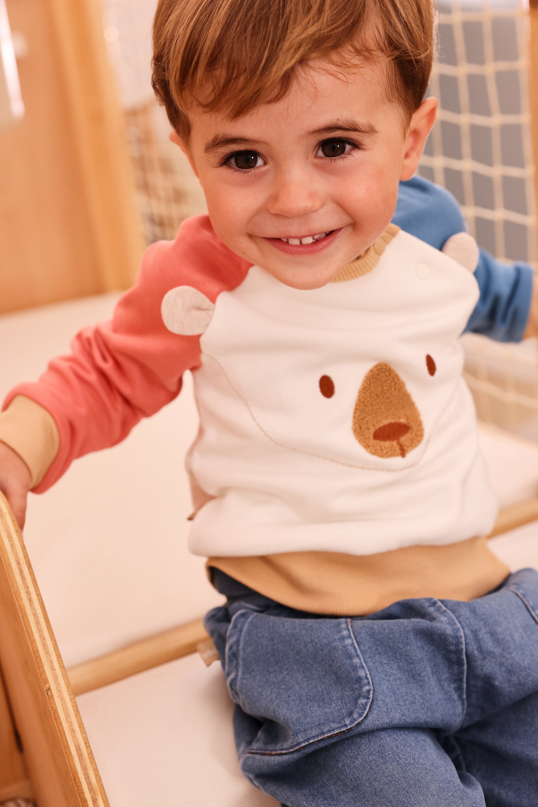 Conjunto Bear Forest