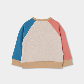 Conjunto Bear Forest