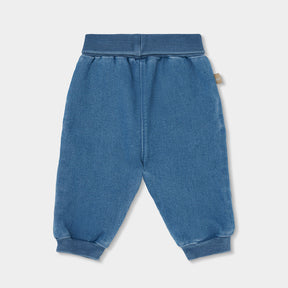 Conjunto Bear Forest