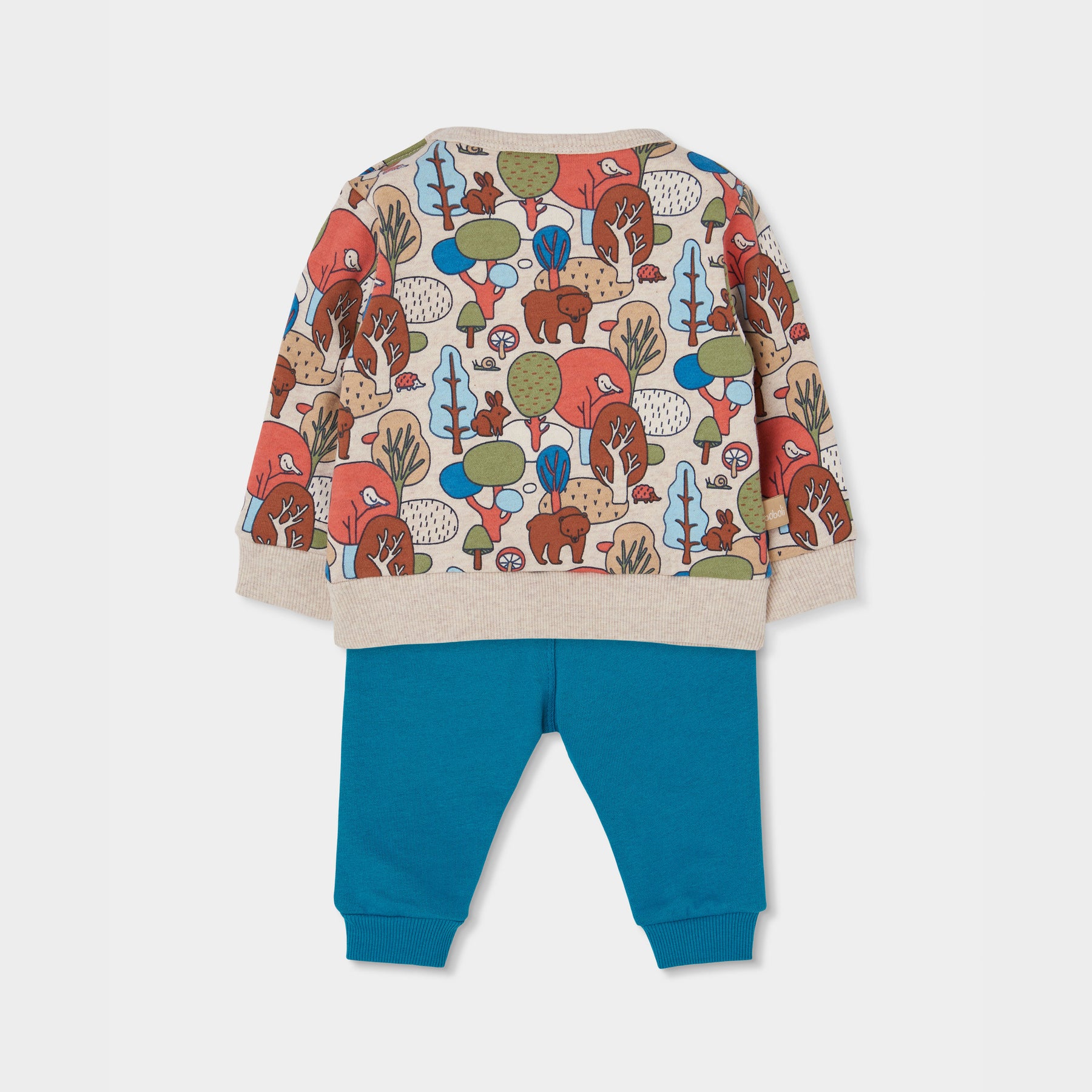 Conjunto Forest