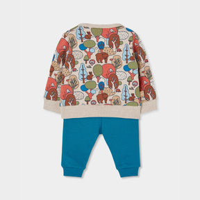 Conjunto Forest