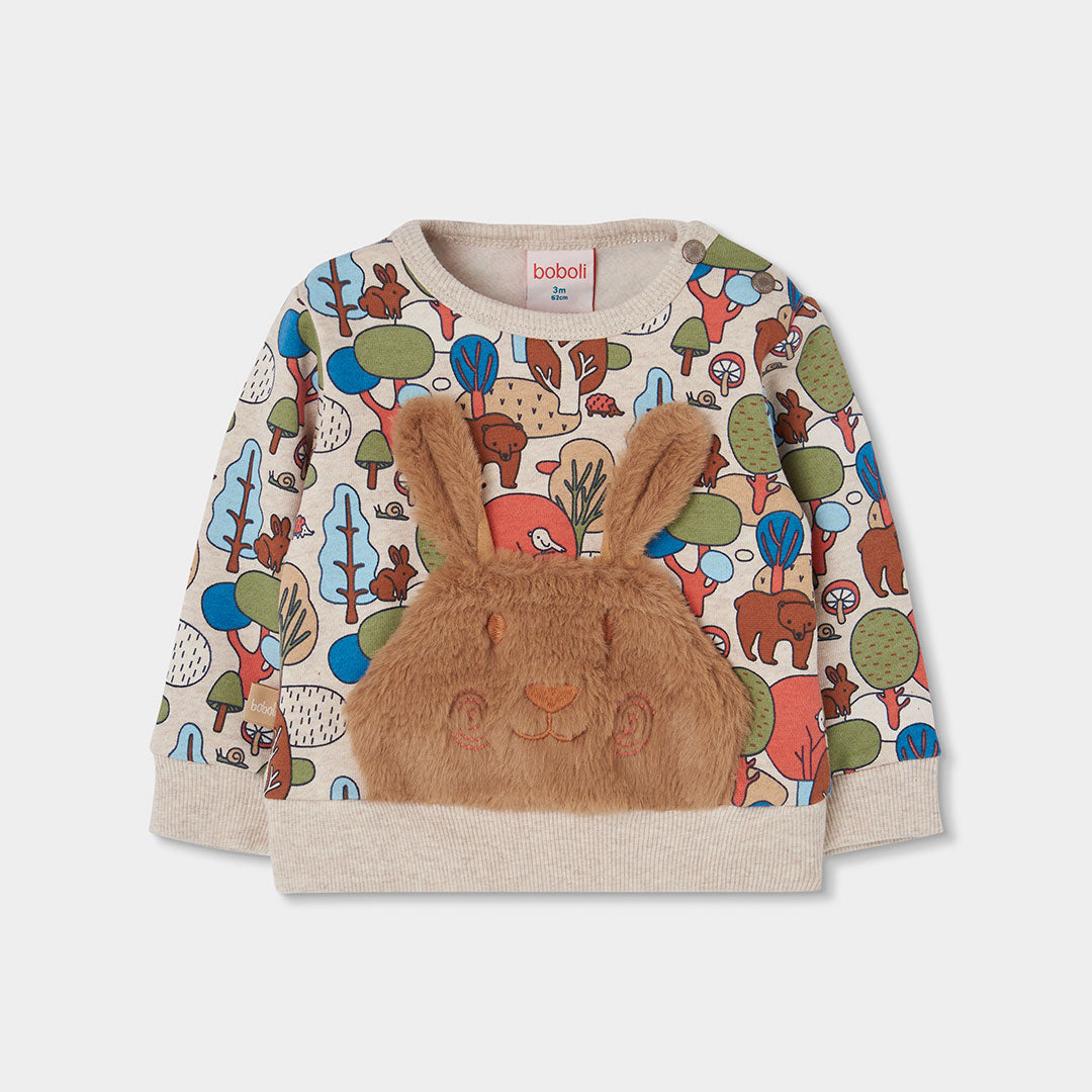 Conjunto Forest