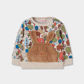 Conjunto Forest