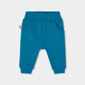 Conjunto Forest